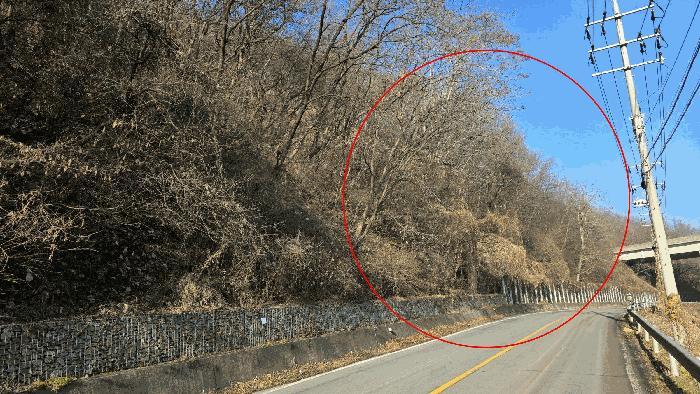 세종특별자치시 장군면 산학리 산2-5 임야 경매 사진 3
