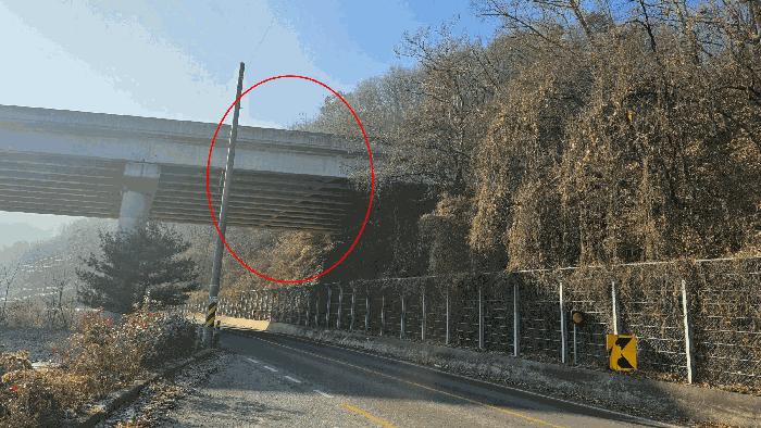 세종특별자치시 장군면 산학리 산2-5 임야 경매 사진 4