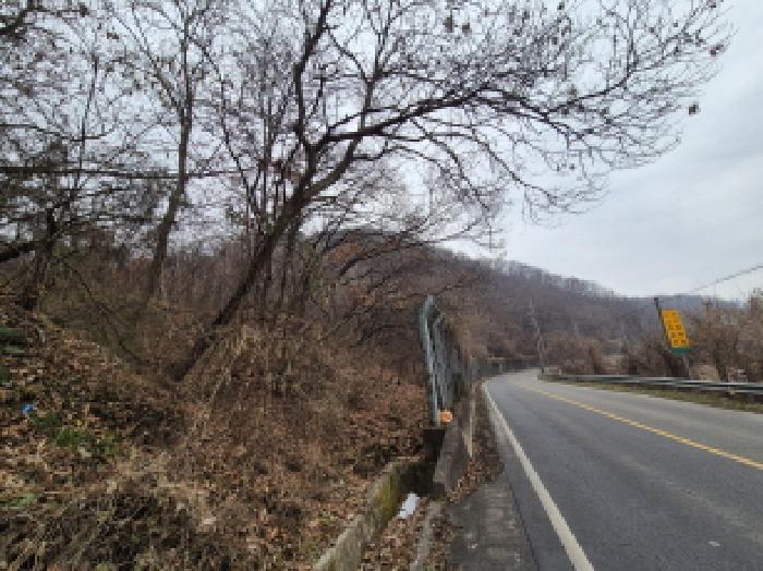 세종특별자치시 장군면 산학리 산2-5 임야 경매 사진 6