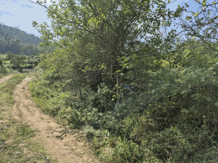 충청남도 금산군 추부면 추정리 19-1 전 경매 사진 1