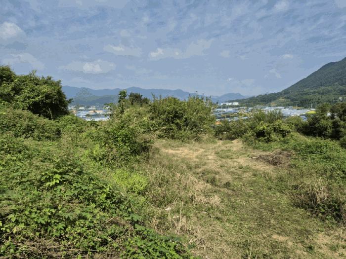 충청남도 금산군 추부면 추정리 19-1 전 경매 사진 2