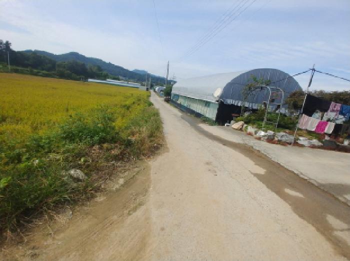 충청남도 금산군 추부면 추정리 19-1 전 경매 사진 6