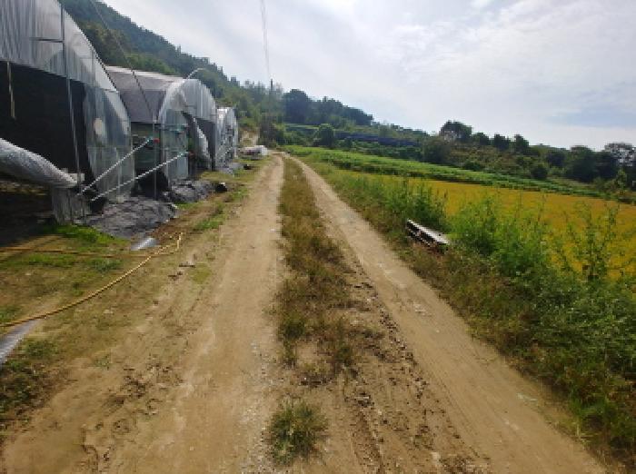 충청남도 금산군 추부면 추정리 19-1 전 경매 사진 8