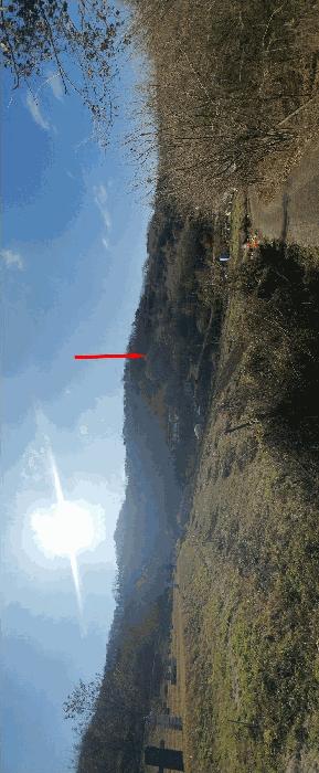 충청남도 금산군 임야