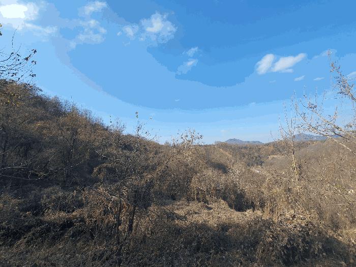 충청남도 금산군 추부면 추정리 산19-4 임야 경매 사진 13