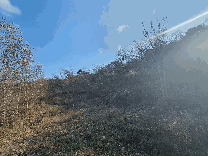 충청남도 금산군 추부면 추정리 산19-4 임야 경매 사진 14