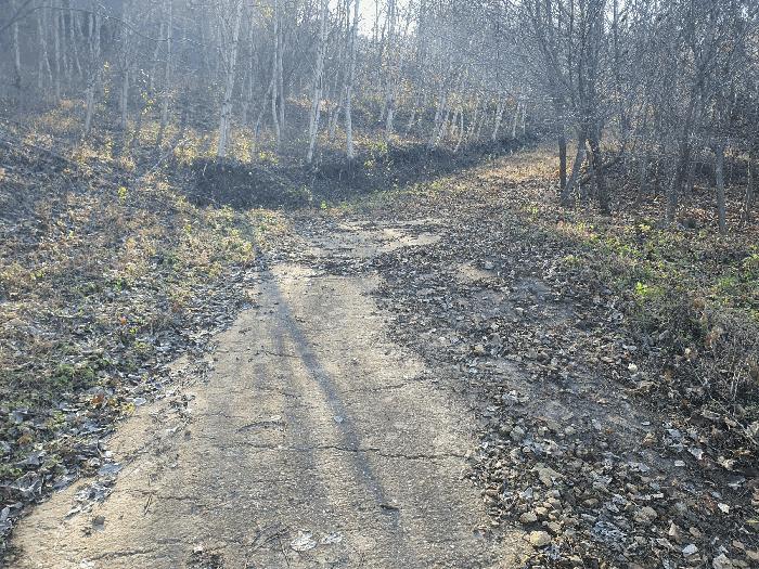 충청남도 금산군 추부면 추정리 산19-4 임야 경매 사진 16