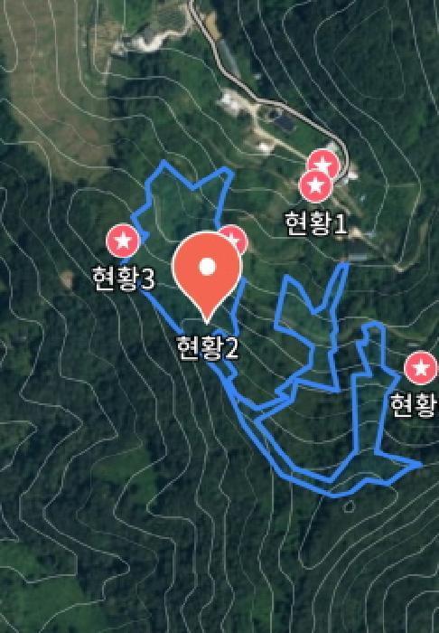 충청남도 금산군 추부면 추정리 산19-4 임야 경매 사진 19