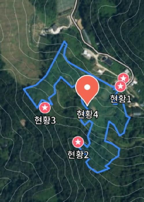 충청남도 금산군 추부면 추정리 산19-4 임야 경매 사진 21