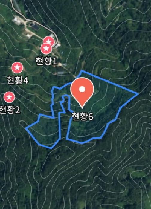충청남도 금산군 추부면 추정리 산19-4 임야 경매 사진 23