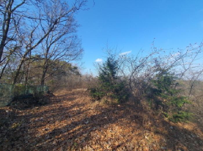 충청남도 금산군 추부면 추정리 산19-4 임야 경매 사진 25