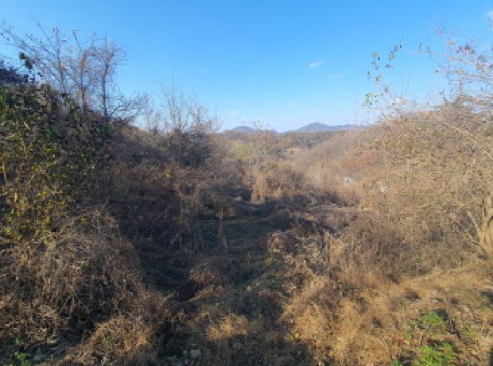 충청남도 금산군 추부면 추정리 산19-4 임야 경매 사진 26