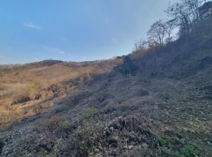 충청남도 금산군 추부면 추정리 산19-4 임야 경매 사진 27
