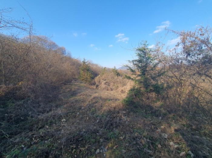 충청남도 금산군 추부면 추정리 산19-4 임야 경매 사진 28