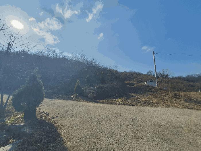 충청남도 금산군 추부면 추정리 산19-4 임야 경매 사진 3