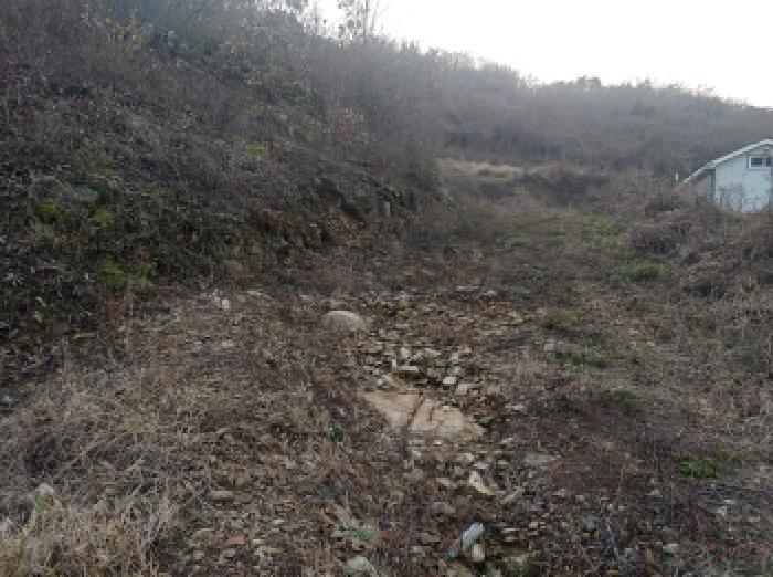 충청남도 금산군 추부면 추정리 산19-4 임야 경매 사진 30