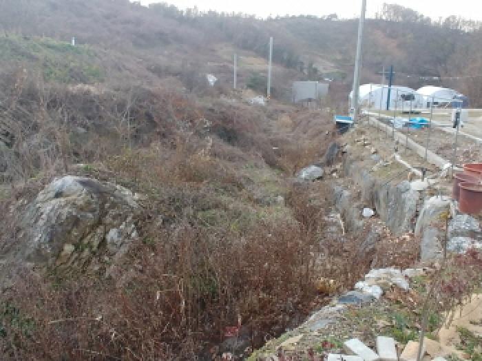 충청남도 금산군 추부면 추정리 산19-4 임야 경매 사진 34
