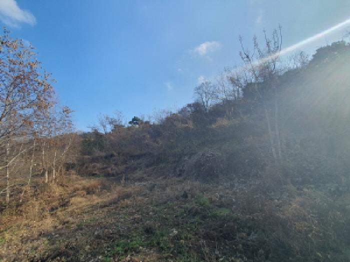 충청남도 금산군 추부면 추정리 산19-4 임야 경매 사진 36