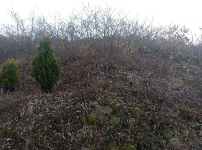 충청남도 금산군 추부면 추정리 산19-4 임야 경매 사진 38