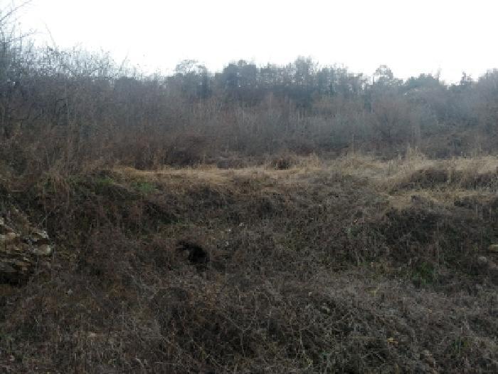 충청남도 금산군 추부면 추정리 산19-4 임야 경매 사진 39