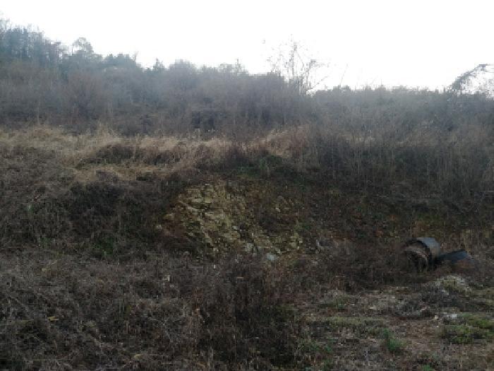 충청남도 금산군 추부면 추정리 산19-4 임야 경매 사진 40