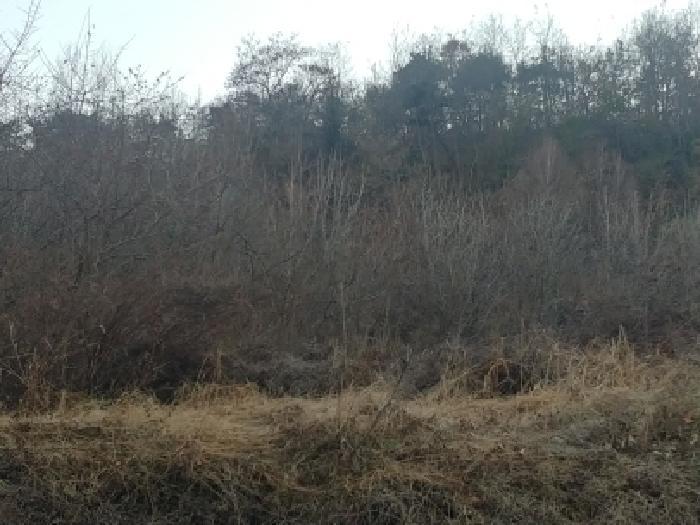 충청남도 금산군 추부면 추정리 산19-4 임야 경매 사진 41