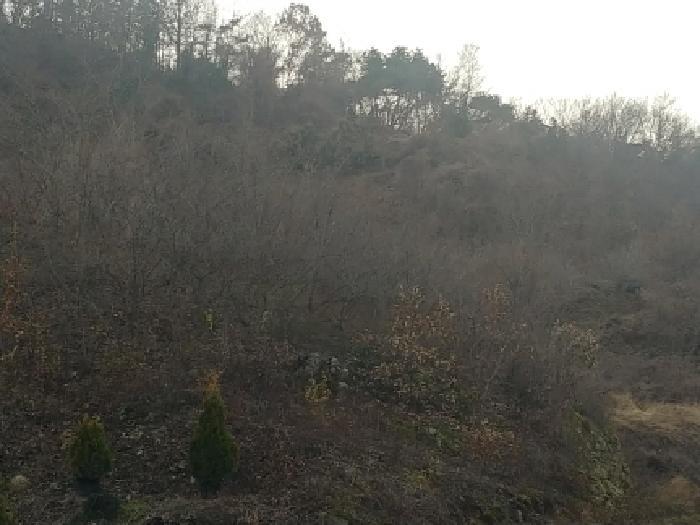 충청남도 금산군 추부면 추정리 산19-4 임야 경매 사진 45