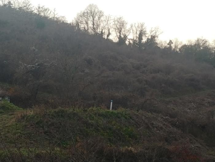충청남도 금산군 추부면 추정리 산19-4 임야 경매 사진 46