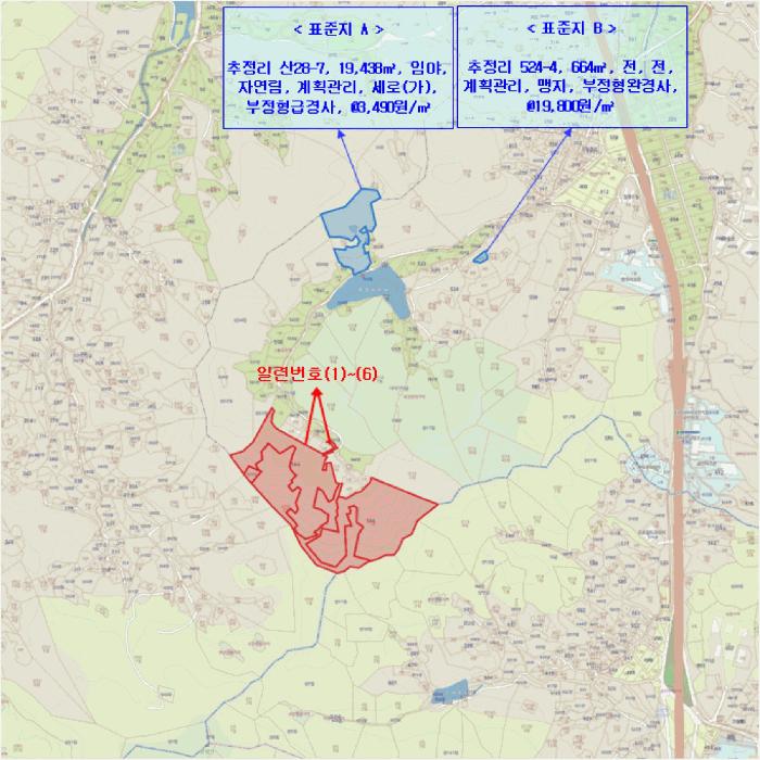 충청남도 금산군 추부면 추정리 산19-4 임야 경매 사진 49
