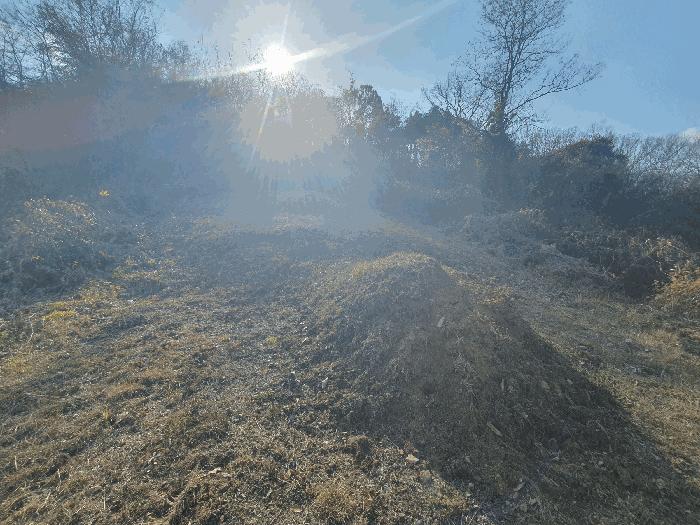 충청남도 금산군 추부면 추정리 산19-4 임야 경매 사진 5