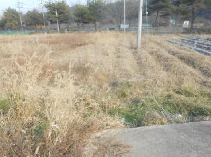 세종특별자치시 전의면 신흥리 130-15 전 경매 사진 3
