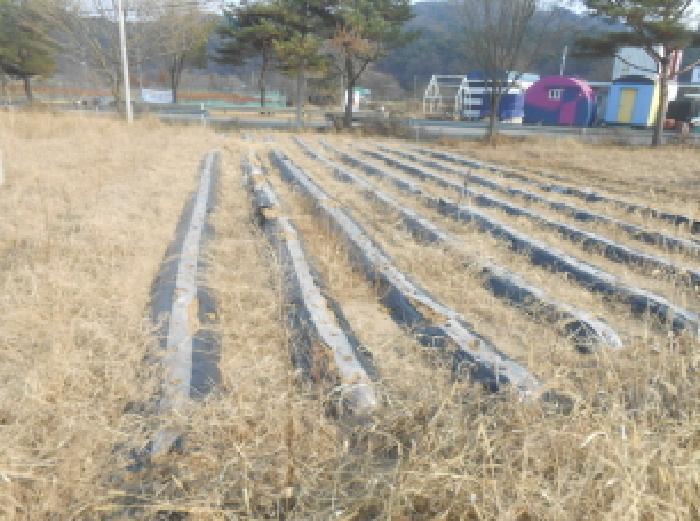 세종특별자치시 전의면 신흥리 130-15 전 경매 사진 4