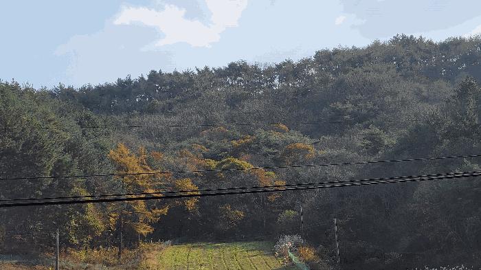 충청남도 태안군 태안읍 평천리 897 답 경매 사진 11