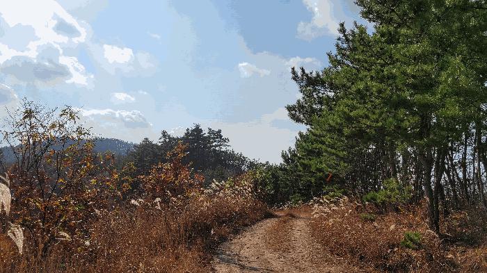 충청남도 태안군 태안읍 평천리 897 답 경매 사진 19