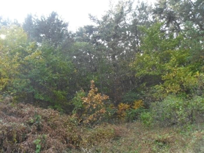 충청남도 태안군 소원면 영전리 628 답 경매 사진 30
