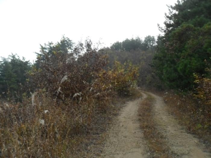충청남도 태안군 소원면 영전리 628 답 경매 사진 35