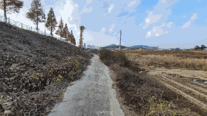 충청남도 태안군 근흥면 두야리 403-8 임야 경매 사진 13
