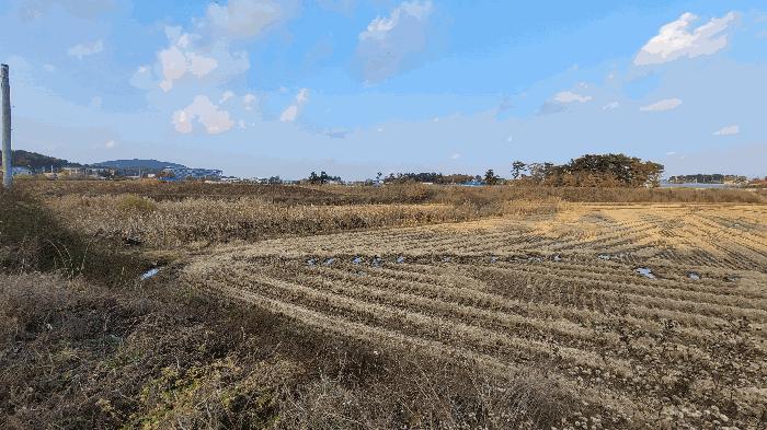 충청남도 태안군 이원면 당산리 산66-1 임야 경매 사진 1