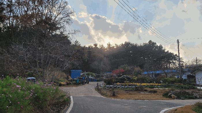 충청남도 태안군 이원면 당산리 산66-1 임야 경매 사진 14