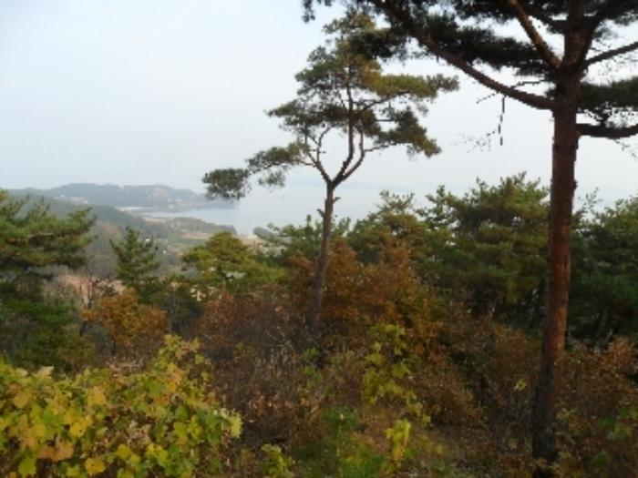 충청남도 태안군 이원면 당산리 산66-1 임야 경매 사진 34