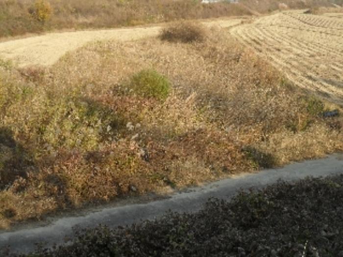 충청남도 태안군 이원면 당산리 산66-1 임야 경매 사진 44