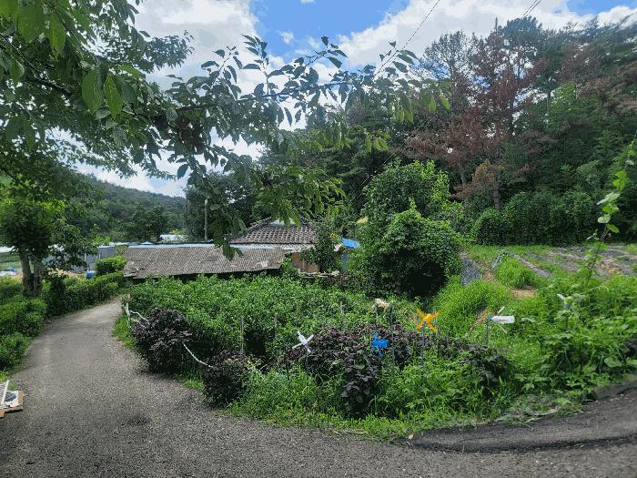 울산광역시 중구 성안동 1445-2 전 경매 사진 2