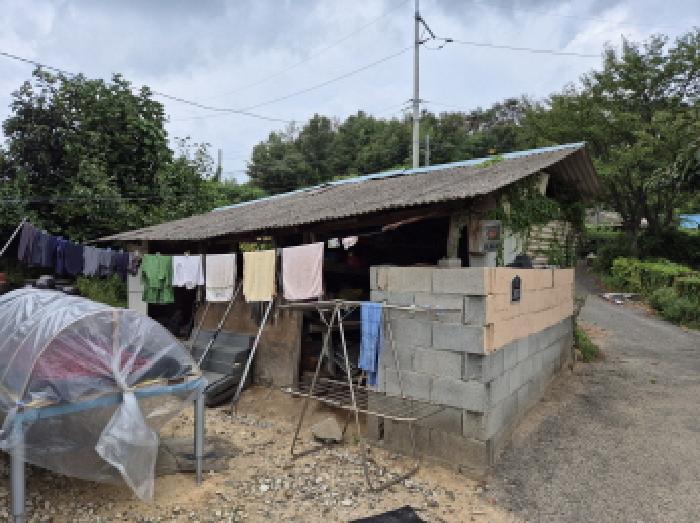 울산광역시 중구 성안동 1445-2 전 경매 사진 8