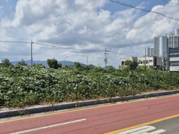 울산광역시 북구 호계동 1010-10 대지 경매 사진 5