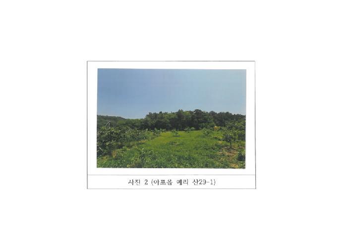 경상북도 김천시 아포읍 예리 산29-1 임야 경매 사진 25