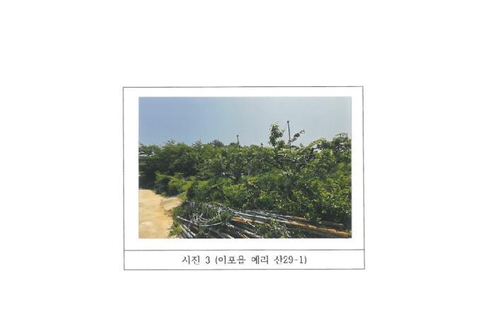 경상북도 김천시 아포읍 예리 산29-1 임야 경매 사진 26