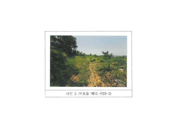 경상북도 김천시 아포읍 예리 산29-1 임야 경매 사진 28