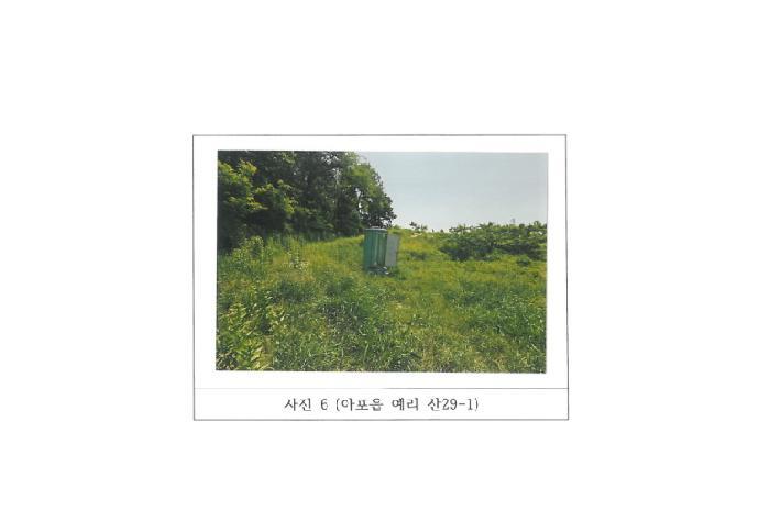 경상북도 김천시 아포읍 예리 산29-1 임야 경매 사진 29