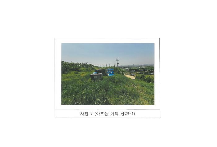 경상북도 김천시 아포읍 예리 산29-1 임야 경매 사진 30