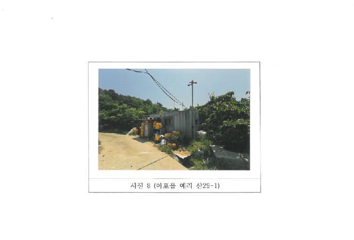 경상북도 김천시 아포읍 예리 산29-1 임야 경매 사진 31